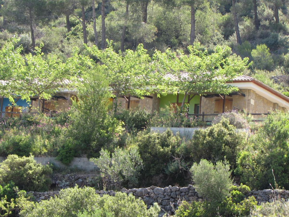 Casa Rural La Canal De Salem Buitenkant foto